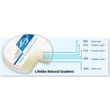 Cirkonio blankas 3D Pro Multilayer D98mm Bloomden